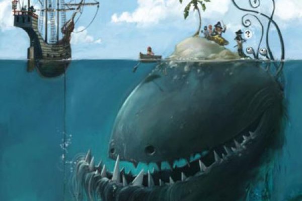 Kraken 24 at