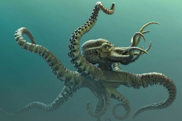 Kraken tor song